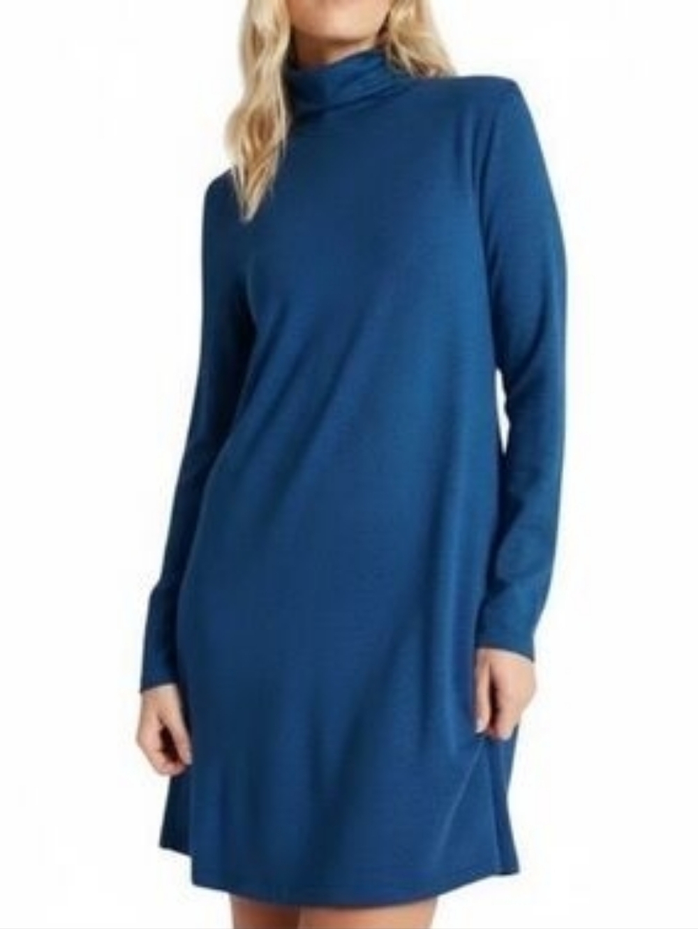 Kit and Ace Long Sleeve Turtleneck Dress in Blue